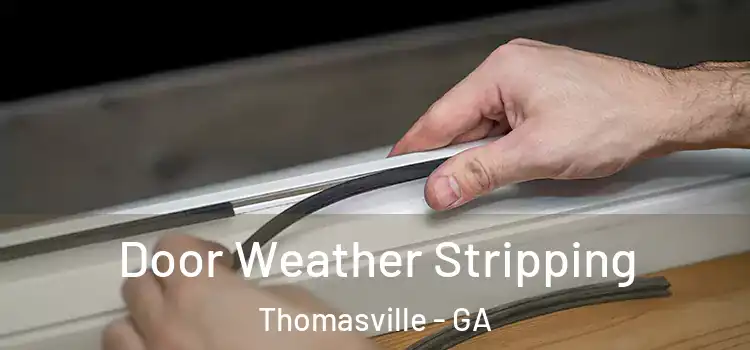  Door Weather Stripping Thomasville - GA